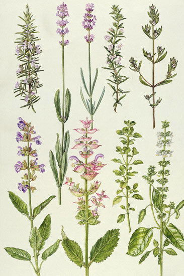 Kompatibel Blomster til JAHRRIESNGE flowers-lpf07035 Kompatibel Blomster JAHRRIESNGE til flowers-lpf07035