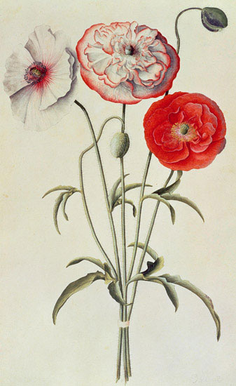 Kompatibel Blomster til Jahrriesnge flowers-lpf07041 Kompatibel Blomster Jahrriesnge til flowers-lpf07041