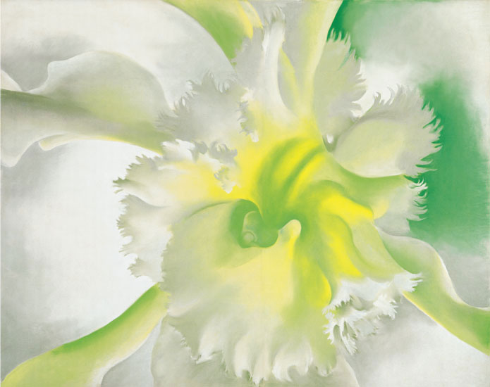 Kompatibel Blomster til Jahrriesnge flowers-lpf07059 Kompatibel Blomster Jahrriesnge til flowers-lpf07059