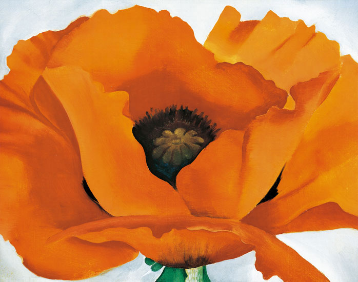 Kompatibel Blomster til Jahrriesnge flowers-lpf07060 Kompatibel Blomster Jahrriesnge til flowers-lpf07060