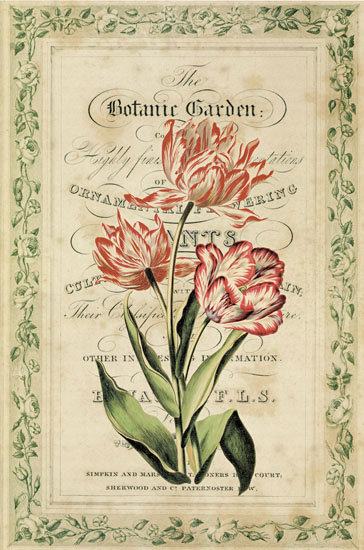 Kompatibel Blomster til Jahrriesnge flowers-lpf07085 Kompatibel Blomster Jahrriesnge til flowers-lpf07085