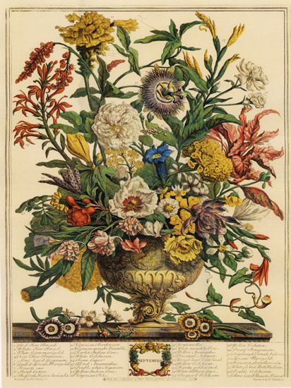 Kompatibel Blomster til JAHRRIESNGE flowers-lpf07094 Kompatibel Blomster JAHRRIESNGE til flowers-lpf07094