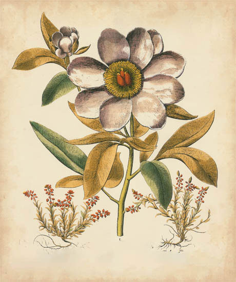 Kompatibel Blomster til Jahrriesnge flowers-lpf07109 Kompatibel Blomster Jahrriesnge til flowers-lpf07109