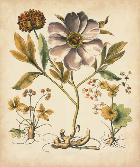 Kompatibel Blomster til JAHRRIESNGE flowers-lpf07110 Kompatibel Blomster JAHRRIESNGE til flowers-lpf07110