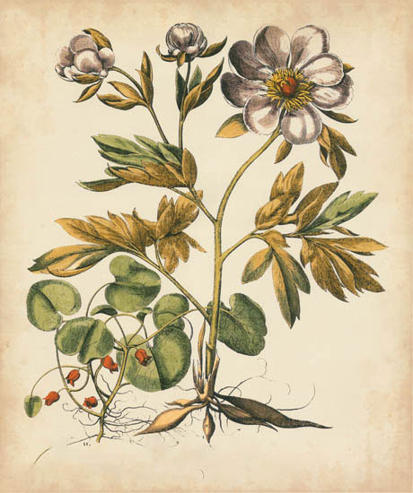 Kompatibel Blomster til JAHRRIESNGE flowers-lpf07111 Kompatibel Blomster JAHRRIESNGE til flowers-lpf07111