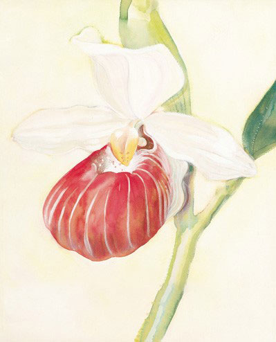 Kompatibel Blomster til JAHRRIESNGE flowers-lpf07175 Kompatibel Blomster JAHRRIESNGE til flowers-lpf07175