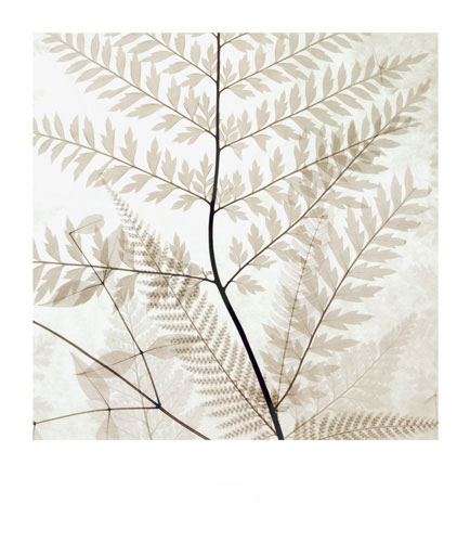 Kompatibel Blomster til JAHRRIESNGE flowers-lpf07206 Kompatibel Blomster JAHRRIESNGE til flowers-lpf07206