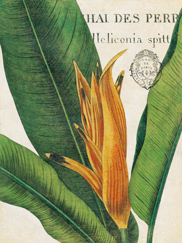 Kompatibel Blomster til Jahrriesnge flowers-lpf07267 Kompatibel Blomster Jahrriesnge til flowers-lpf07267