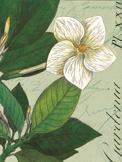 Kompatibel Blomster til JAHRRIESNGE flowers-lpf07270 Kompatibel Blomster JAHRRIESNGE til flowers-lpf07270