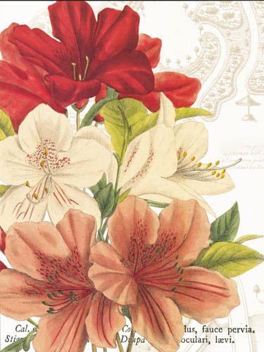 Kompatibel Blomster til Jahrriesnge flowers-lpf07280 Kompatibel Blomster Jahrriesnge til flowers-lpf07280