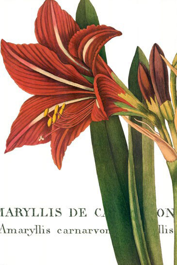 Kompatibel Blomster til Jahrriesnge flowers-lpf07284 Kompatibel Blomster Jahrriesnge til flowers-lpf07284