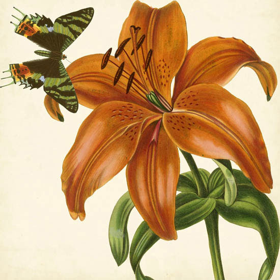 Kompatibel Blomster til JAHRRIESNGE flowers-lpf07415 Kompatibel Blomster JAHRRIESNGE til flowers-lpf07415