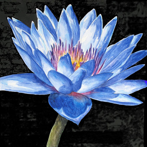 Kompatibel Blomster til JAHRRIESNGE flowers-lpf07520 Kompatibel Blomster JAHRRIESNGE til flowers-lpf07520