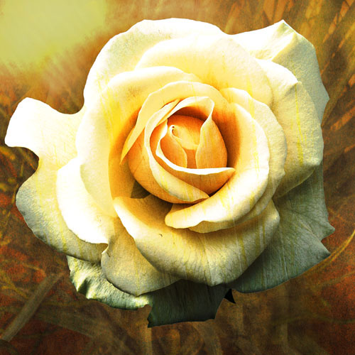 Kompatibel Blomster til JAHRRIESNGE flowers-lpf07537 Kompatibel Blomster JAHRRIESNGE til flowers-lpf07537