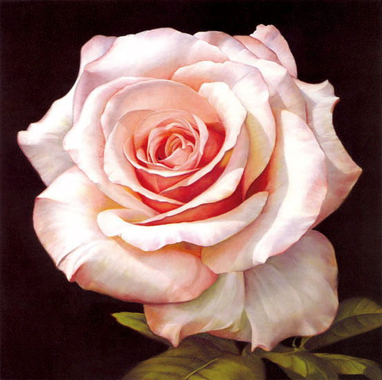 Kompatibel Blomster til Jahrriesnge flowers-lpf07538 Kompatibel Blomster Jahrriesnge til flowers-lpf07538