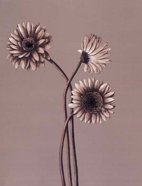 Kompatibel Blomster til JAHRRIESNGE flower lpf07821 Kompatibel Blomster JAHRRIESNGE til flower lpf07821