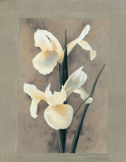 Kompatibel Blomster til JAHRRIESNGE flowers lpf07894 Kompatibel Blomster JAHRRIESNGE til flowers lpf07894