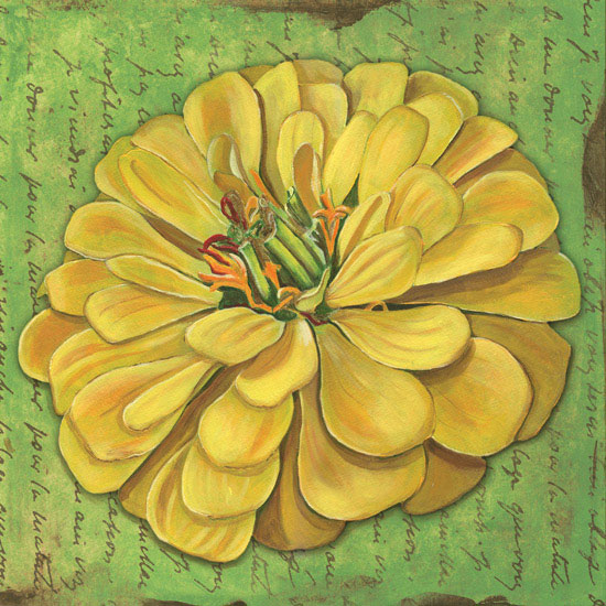 Kompatibel Blomster til Jahrriesnge flowers lpf08062 Kompatibel Blomster Jahrriesnge til flowers lpf08062