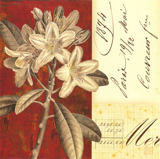 Kompatibel Blomster til Jahrriesnge flowers lpf08131 Kompatibel Blomster Jahrriesnge til flowers lpf08131