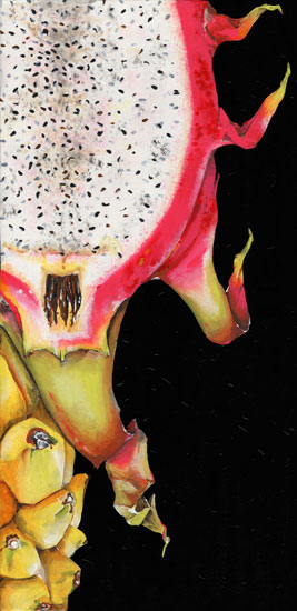 Kompatibel Blomster til Jahrriesnge dragon fruit lpf08147 Kompatibel Blomster Jahrriesnge til dragon fruit lpf08147