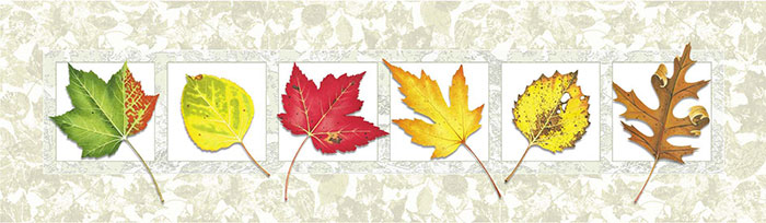 Kompatibel Blomster til JAHRRIESNGE leaves lpf08160 Kompatibel Blomster JAHRRIESNGE til leaves lpf08160