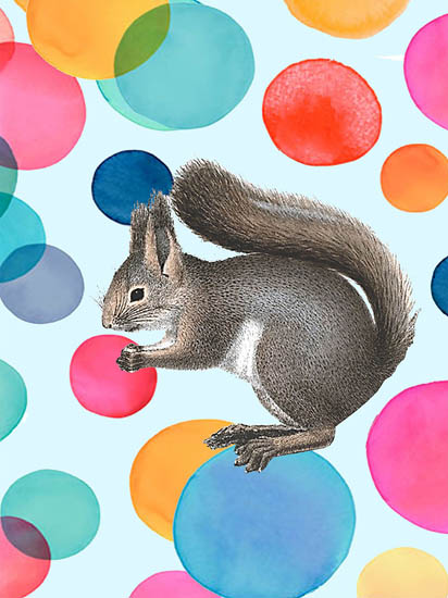 Kompatibel Dyr til Jahrriesnge squirrel lpf08643 Kompatibel Dyr Jahrriesnge til squirrel lpf08643