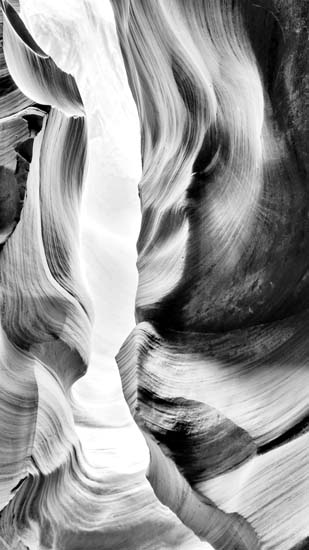 Kompatibel Landskab til JAHRRIESNGE untitle lpf09388 Kompatibel Landskab JAHRRIESNGE til untitle lpf09388