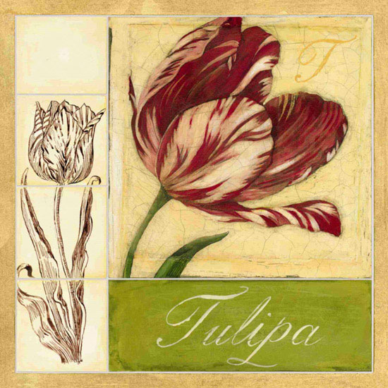 Kompatibel Blomster til JAHRRIESNGE flowers lpf09620 Kompatibel Blomster JAHRRIESNGE til flowers lpf09620