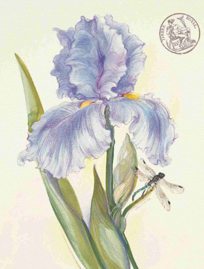 Kompatibel Blomster til Jahrriesnge flowers lpf09693 Kompatibel Blomster Jahrriesnge til flowers lpf09693