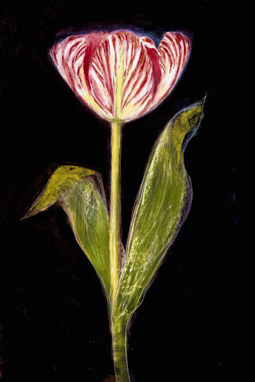 Kompatibel Blomster til JAHRRIESNGE flowers lpf09829 Kompatibel Blomster JAHRRIESNGE til flowers lpf09829