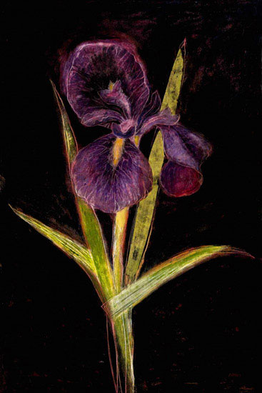 Kompatibel Blomster til JAHRRIESNGE flowers lpf09830 Kompatibel Blomster JAHRRIESNGE til flowers lpf09830