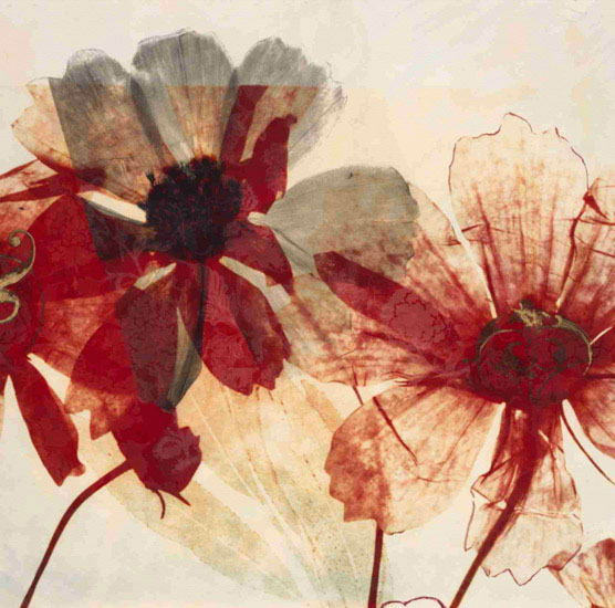 Kompatibel Blomster til JAHRRIESNGE flowers lpf09869 Kompatibel Blomster JAHRRIESNGE til flowers lpf09869