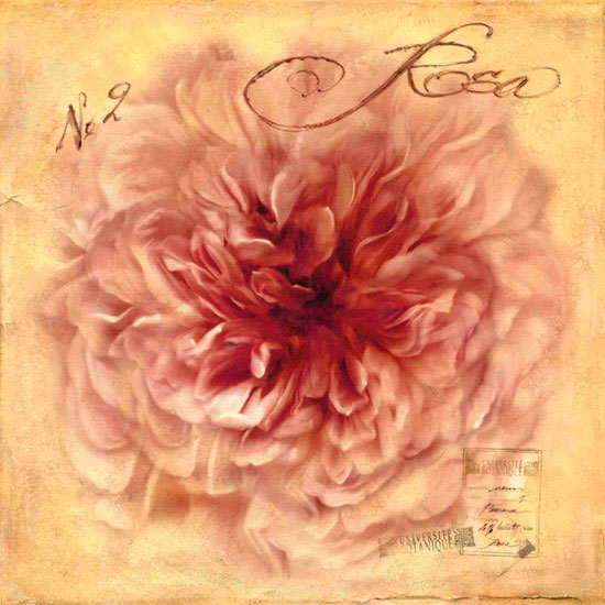 Kompatibel Blomster til Jahrriesnge flowers lpf10125 Kompatibel Blomster Jahrriesnge til flowers lpf10125