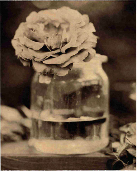 Kompatibel Blomster til JAHRRIESNGE flowers lpf10222 Kompatibel Blomster JAHRRIESNGE til flowers lpf10222