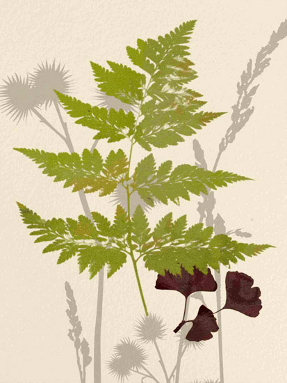 Kompatibel Blomster til Jahrriesnge leaves lpf10290 Kompatibel Blomster Jahrriesnge til leaves lpf10290