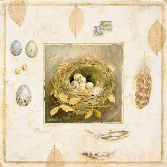 Kompatibel Dyr til Jahrriesnge eggs lpf10576 Kompatibel Dyr Jahrriesnge til eggs lpf10576