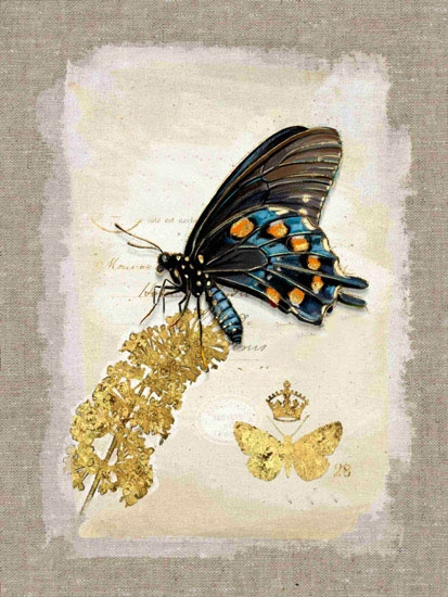 Kompatibel Dyr til Jahrriesnge butterfly lpf10611 Kompatibel Dyr Jahrriesnge til butterfly lpf10611