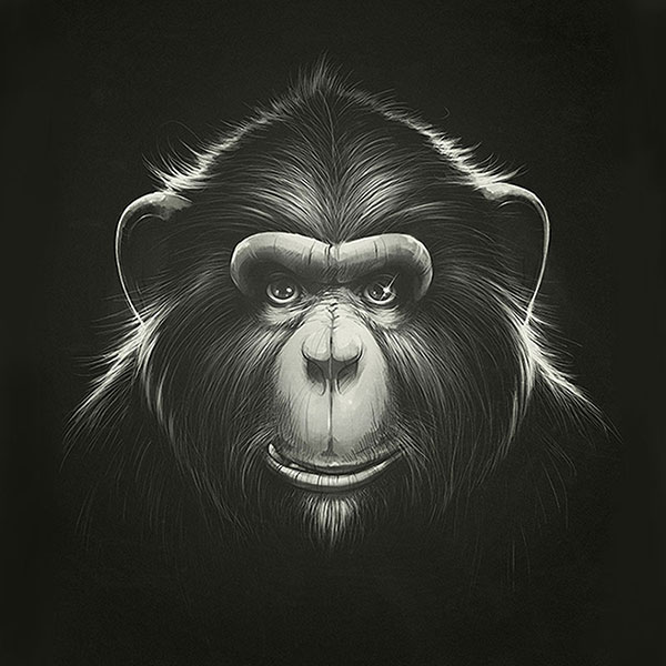 Kompatibel Dyr til Jahrriesnge monkey-lpg1627 Kompatibel Dyr Jahrriesnge til monkey-lpg1627