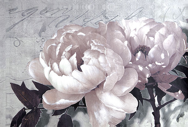 Kompatibel Stilleben til Jahrriesnge flowers lpg2501 Kompatibel Stilleben Jahrriesnge til flowers lpg2501